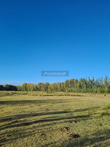 Finca en Venta en Tunuyan, Mendoza