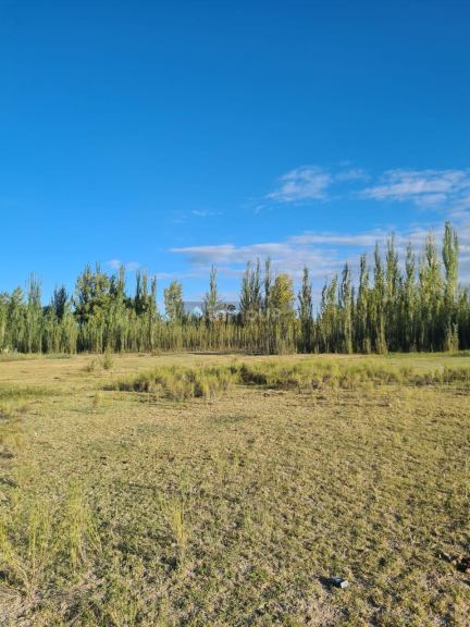 Finca en Venta en Tunuyan, Mendoza