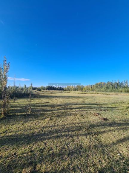 Finca en Venta en Tunuyan, Mendoza