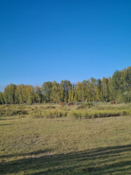 Finca en Venta en Tunuyan, Mendoza