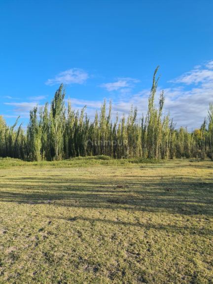 Finca en Venta en Tunuyan, Mendoza