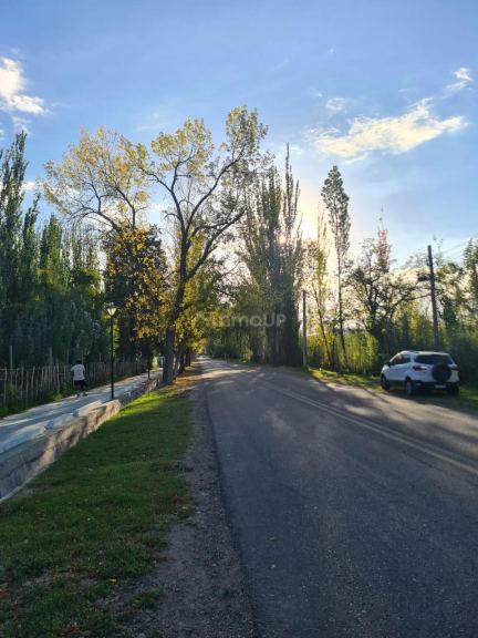 Finca en Venta en Tunuyan, Mendoza