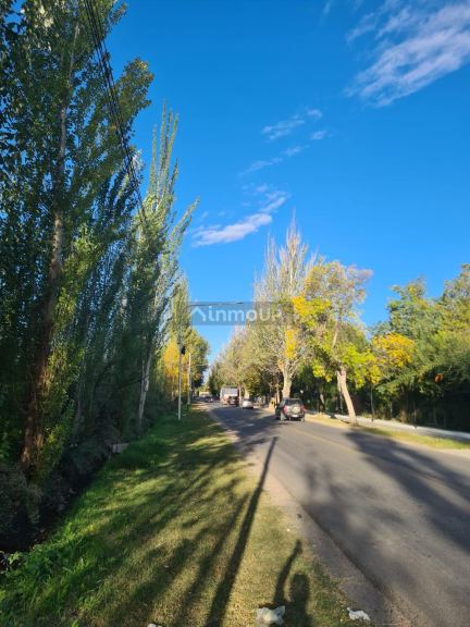Finca en Venta en Tunuyan, Mendoza