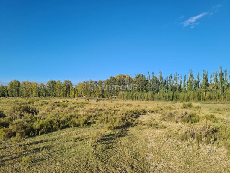 Finca en Venta en Tunuyan, Mendoza