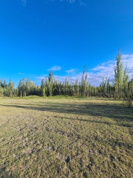 Finca en Venta en Tunuyan, Mendoza