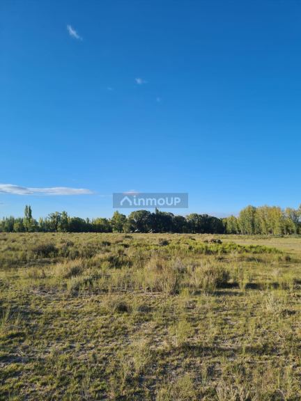 Finca en Venta en Tunuyan, Mendoza