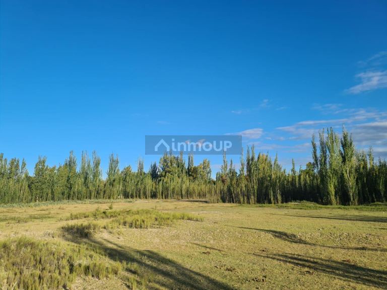 Finca en Venta en Tunuyan, Mendoza