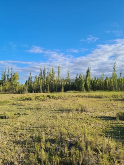 Finca en Venta en Tunuyan, Mendoza
