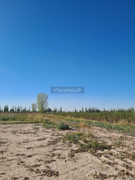 Finca en Venta en Maipu, Mendoza