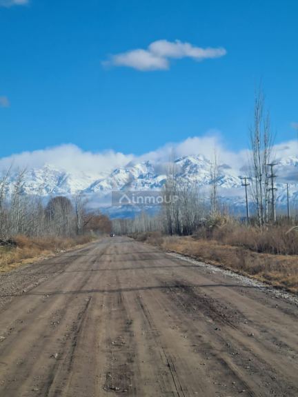 Finca en Venta en Tunuyan, Mendoza