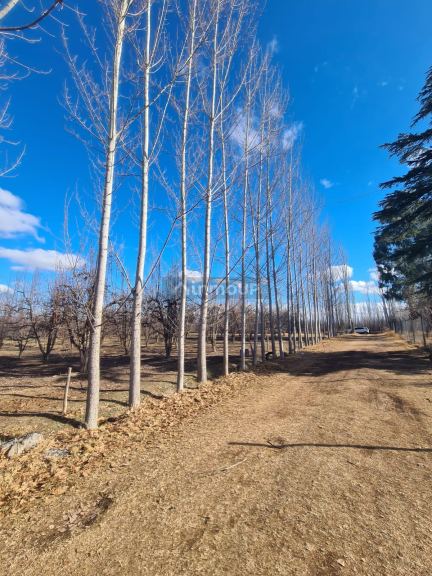Finca en Venta en Tunuyan, Mendoza