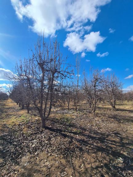 Finca en Venta en Tunuyan, Mendoza