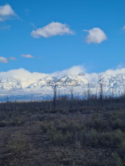 Finca en Venta en Tunuyan, Mendoza