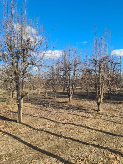 Finca en Venta en Tunuyan, Mendoza