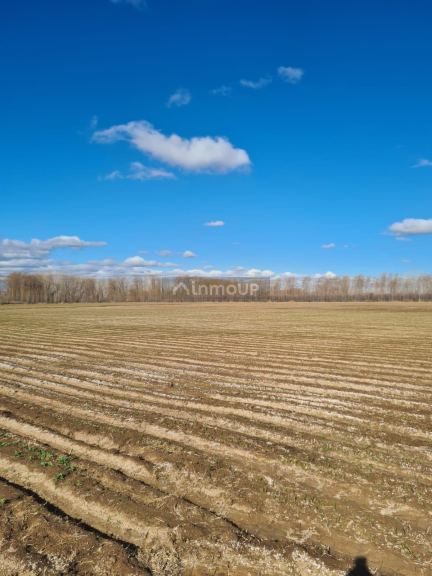 Finca en Venta en Tunuyan, Mendoza