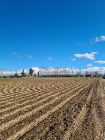 Finca en Venta en Tunuyan, Mendoza