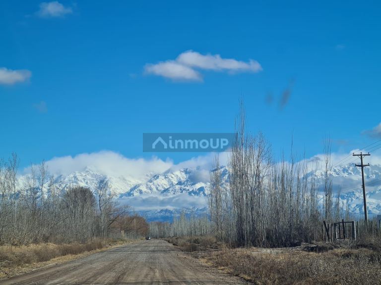 Finca en Venta en Tunuyan, Mendoza