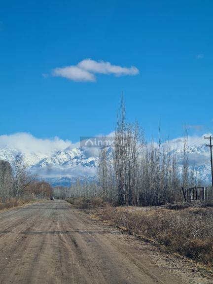 Finca en Venta en Tunuyan, Mendoza
