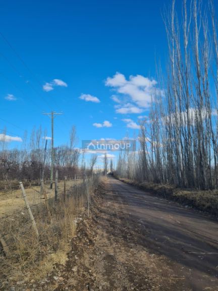 Finca en Venta en Tunuyan, Mendoza