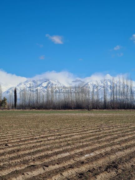 Finca en Venta en Tunuyan, Mendoza