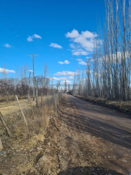 Finca en Venta en Tunuyan, Mendoza