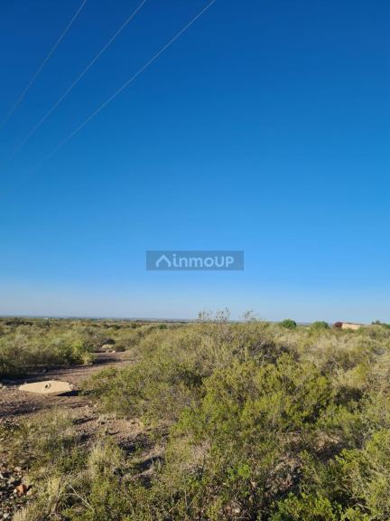 Campo en Venta en Maipu, Mendoza