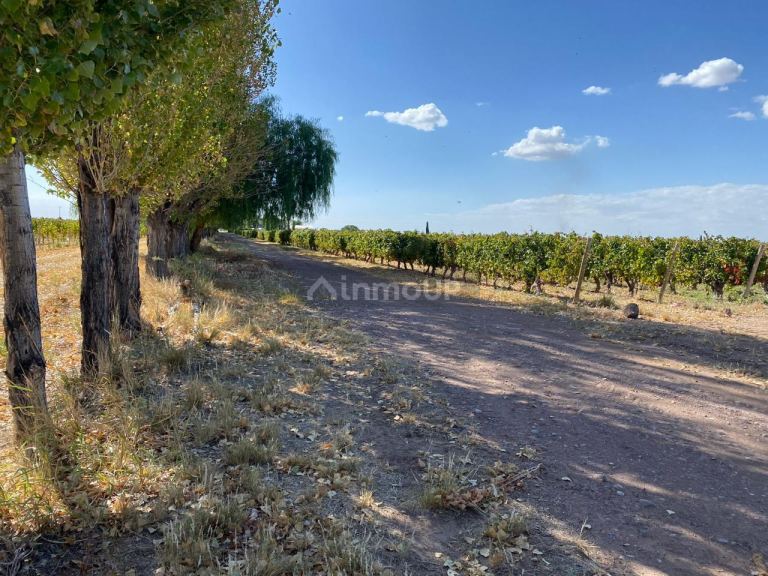 Campo en Venta en Maipu, Mendoza