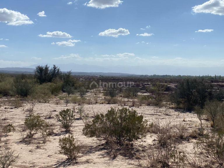Campo en Venta en Maipu, Mendoza