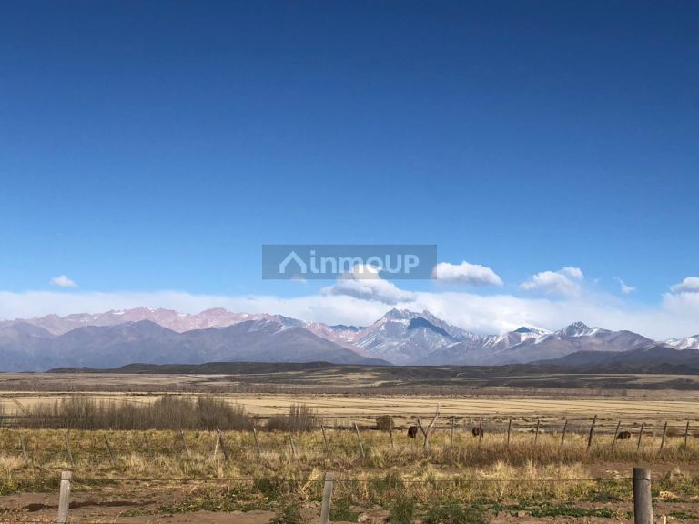 Lote en Venta en Tupungato, Mendoza