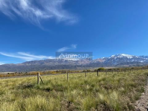 Lote en Venta en Tupungato, Mendoza