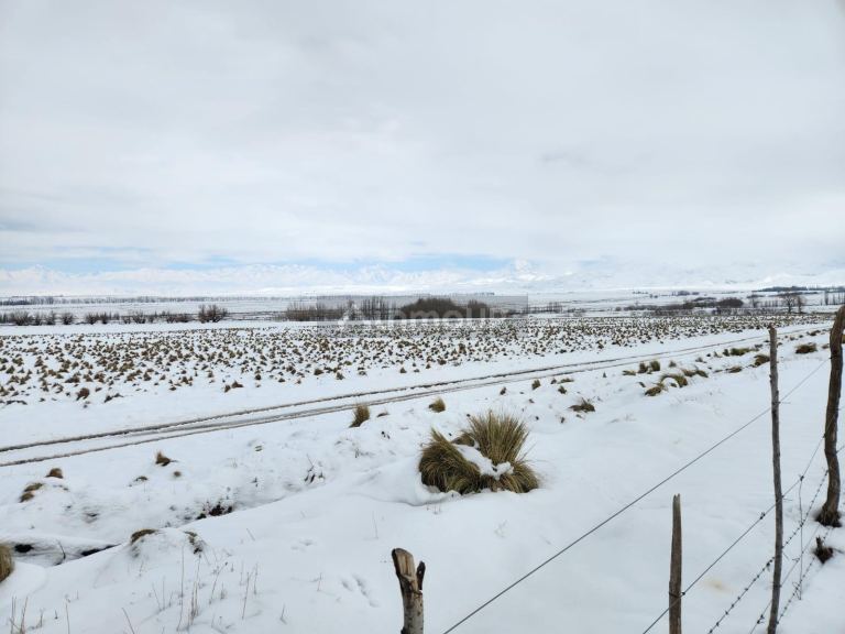 Lote en Venta en Tupungato, Mendoza