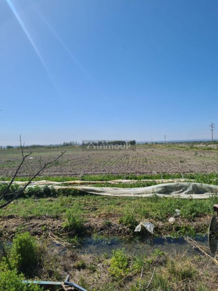 Finca en Venta en Tupungato, Mendoza