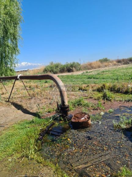 Finca en Venta en Tupungato, Mendoza