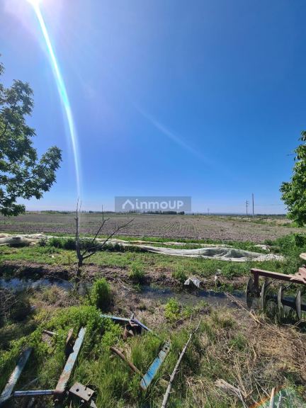 Finca en Venta en Tupungato, Mendoza