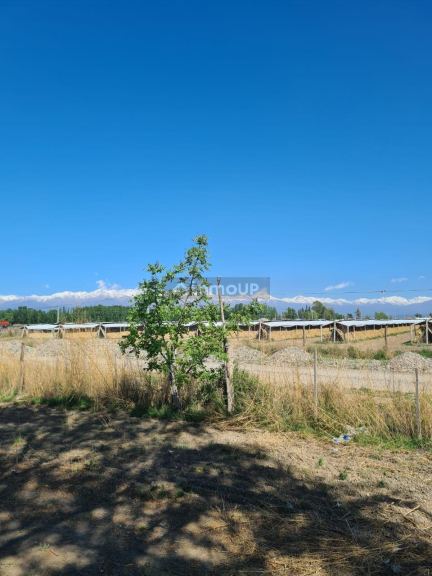 Finca en Venta en Tupungato, Mendoza
