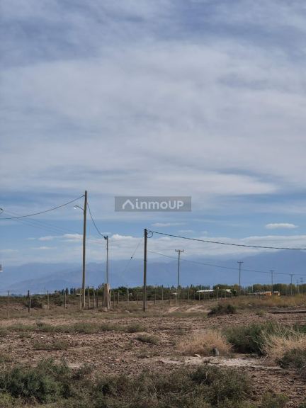 Finca en Venta en Lavalle, Mendoza