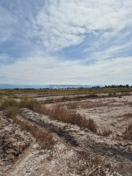 Finca en Venta en Lavalle, Mendoza