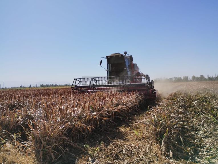 Finca en Venta en Lavalle, Mendoza