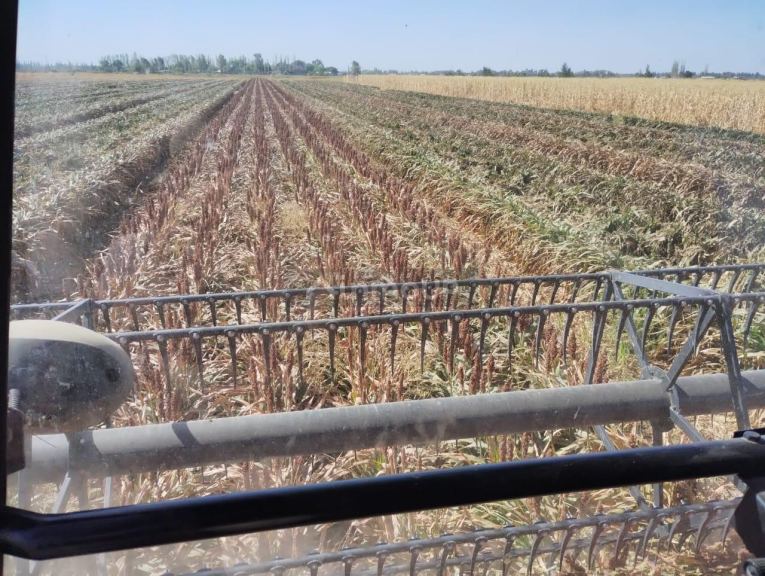 Finca en Venta en Lavalle, Mendoza