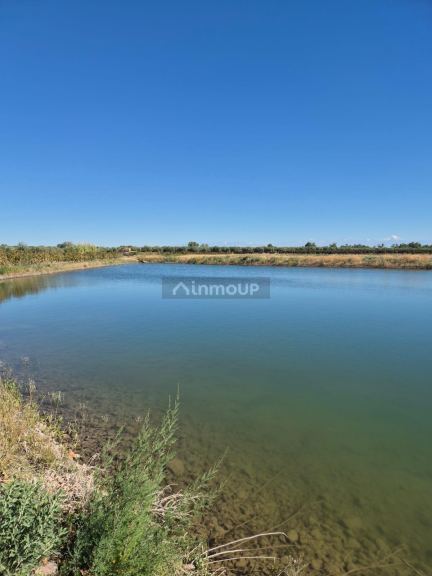 Finca en Venta en Rivadavia, Mendoza