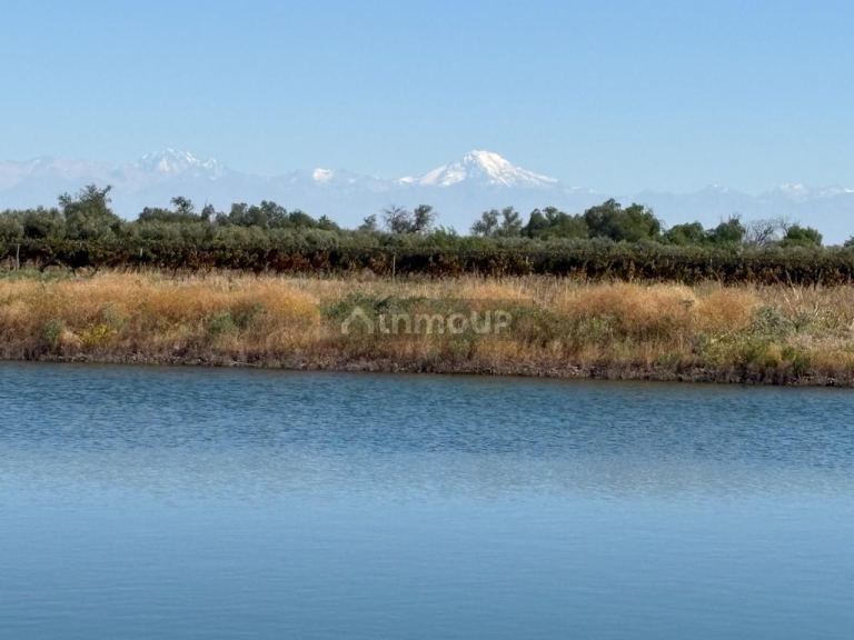 Finca en Venta en Rivadavia, Mendoza