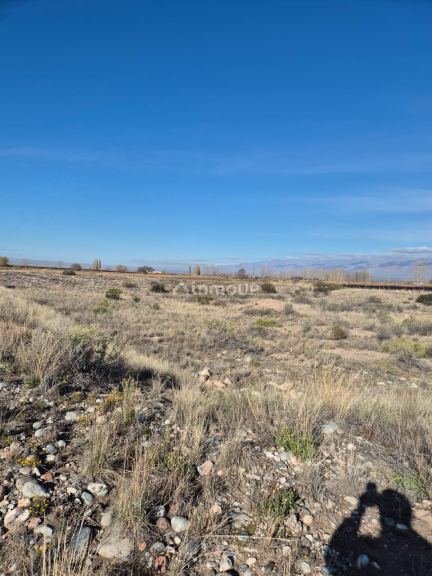 Finca en Venta en San Carlos, Mendoza