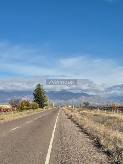 Finca en Venta en San Carlos, Mendoza