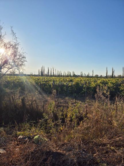 Finca en Venta en Las Heras, Mendoza