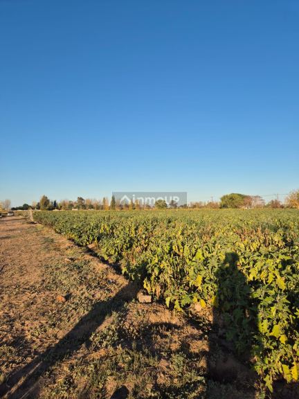 Quinta en Venta en Las Heras, Mendoza