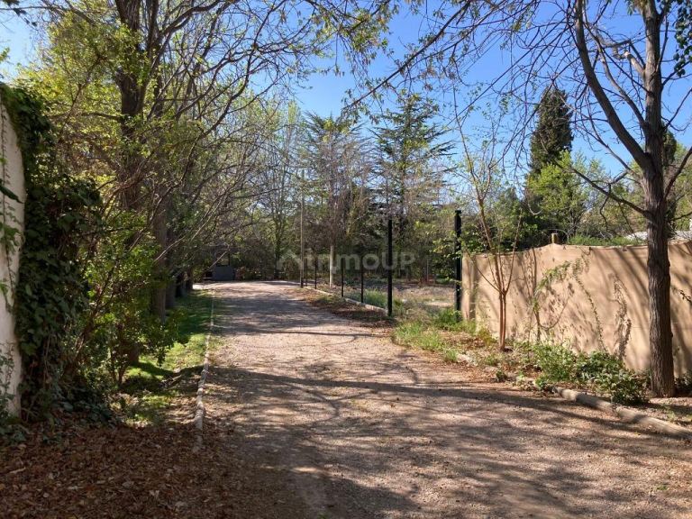 Lote en Venta en Lujan de Cuyo, Mendoza