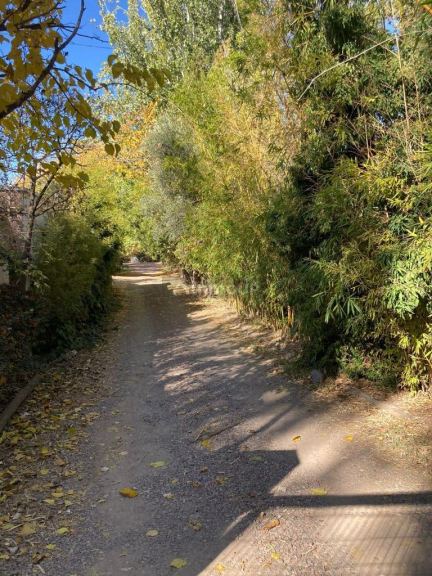 Lote en Venta en Lujan de Cuyo, Mendoza