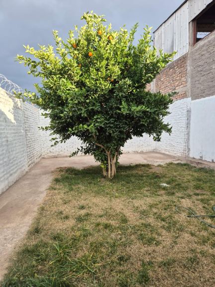 Casa en Alquiler en Guaymallen, Mendoza