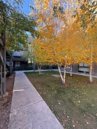 Departamento en Alquiler en Maipu, Mendoza