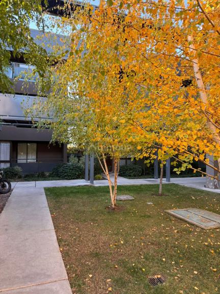 Departamento en Alquiler en Maipu, Mendoza